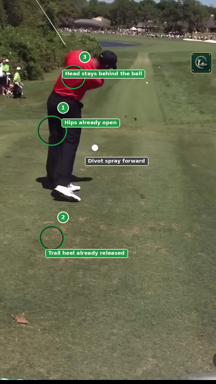Annotated impact frame for Tiger Woods